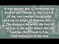 A tree breaks due to storm and the part bends so that the top of the tree touches the ground ...