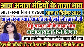 Grain Market Price | 17/12/2025 Today there was a strong rise in cotton, guar, paddy and sesame. screenshot 2