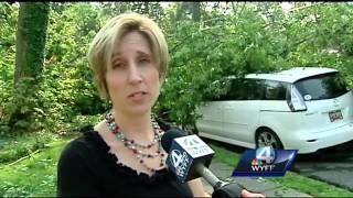 Fallen trees damaged cars overnight