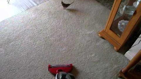 Stormy and the vacuum