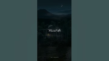 [ وافوض امري الى الله ] حالات واتس اب قرآن كريم | خالد الجليل