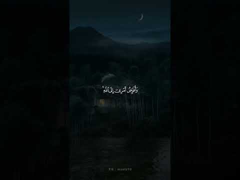 وافوض امري الى الله حالات واتس اب قرآن كريم خالد الجليل