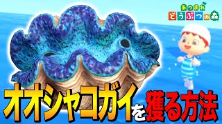 Animal Crossing: New Horizons] How to catch the light-eating giant