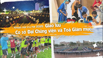 Bản tin số 5 - Tuần thứ 4 của Khóa Nội trú hè năm 2025 / Đại Chủng viện Thánh Tâm Thái Bình