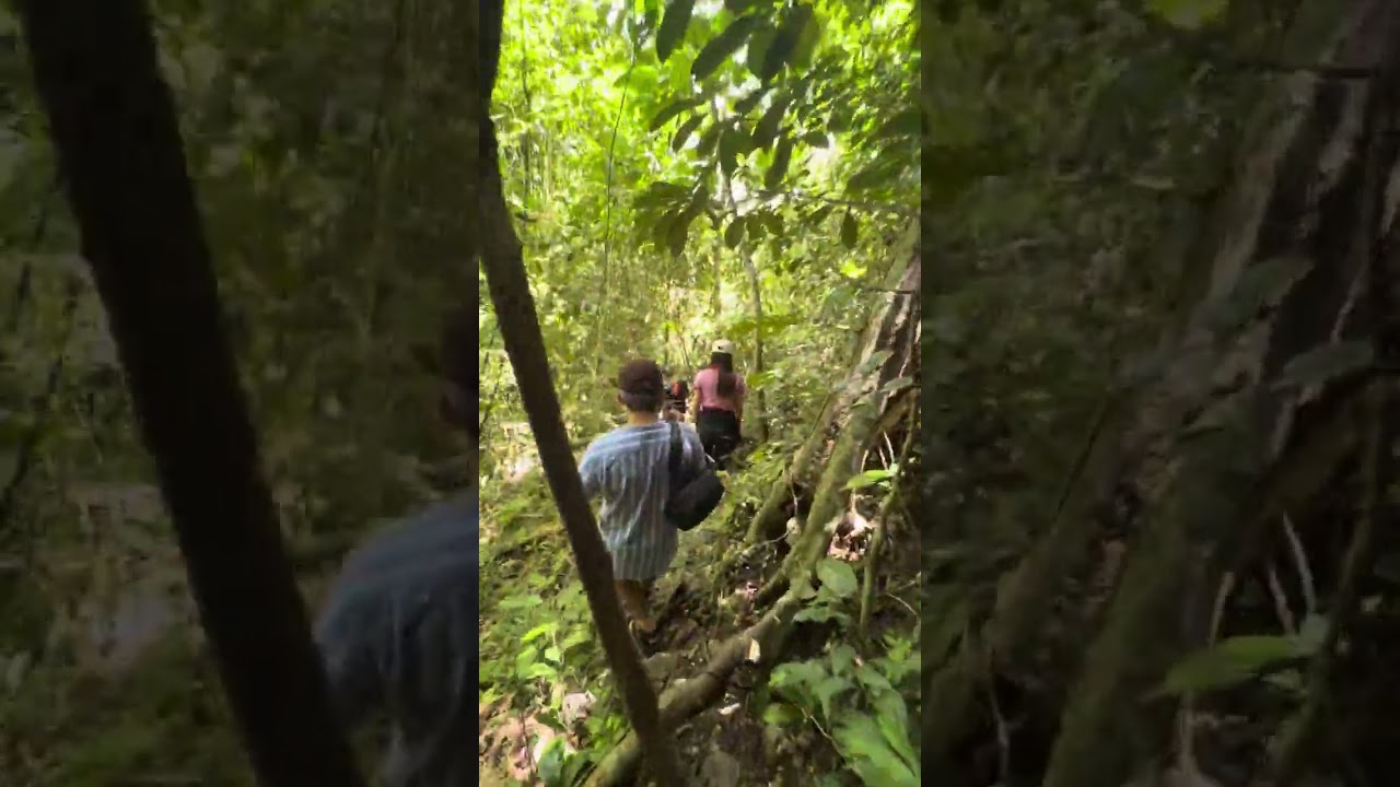 Binabaybay namin ang taas ng Lussok Cave, Luna , Apayao napakagandang tanawin