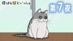 アニメ 夜は猫といっしょ チャンネル Youtube