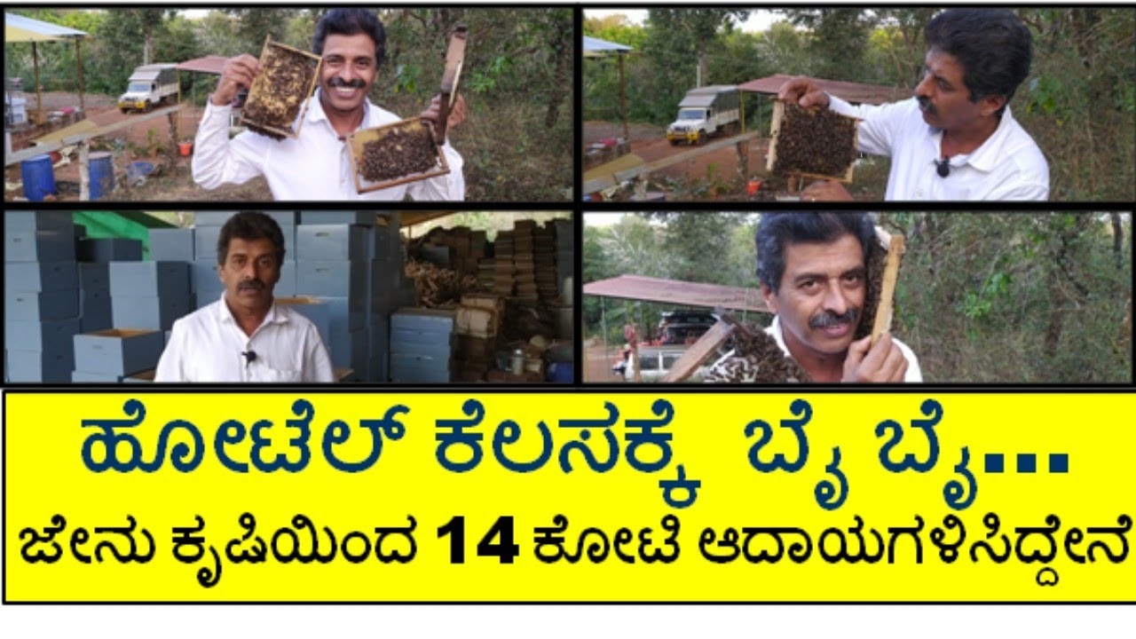 ಹೋಟೆಲ್ ಸಪ್ಲೇಯರ್ ಕೆಲಸ ಬಿಟ್ಟು ಜೇನು ಕೃಷಿಯಿಂದ 15 ರಿಂದ 20 ಕೋಟಿ ಆದಾಯ ಗಳಿಸಿದ್ದೇನೆ (BEE KEEPING )