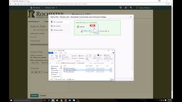 Submit an Assignment to D2L Brightspace