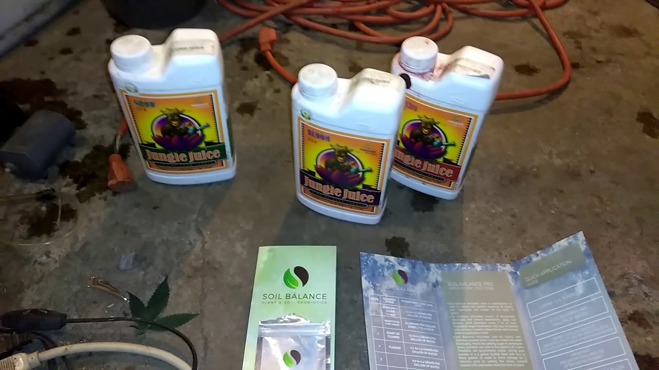 What I feed my plants and how I mix it