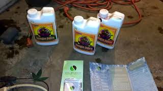 What I feed my plants and how I mix it