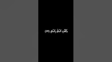 سورة القيامة 26 - 30 - محمد اللحيدان .