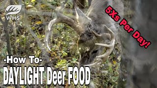 How To Feed Deer