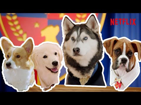 Pup Academy | Meet The Pups (Full Scene)