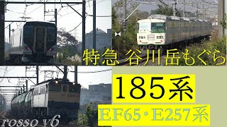 185系【特急 谷川岳もぐら】EF65・E257系 特急あかぎ～