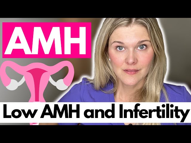 AMH: How Can Low AMH Impact Fertility? What Should You Know About AMH? class=