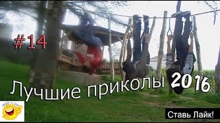 Во Владивостоке поймали тигра/ЛУЧШИЕ И СМЕШНЫЕ ПРИКОЛЫ 2016 ОКТЯБРЬ#14 Во Владивостоке поймали тигра/ЛУЧШИЕ И СМЕШНЫЕ ПРИКОЛЫ 2016 ОКТЯБРЬ#14