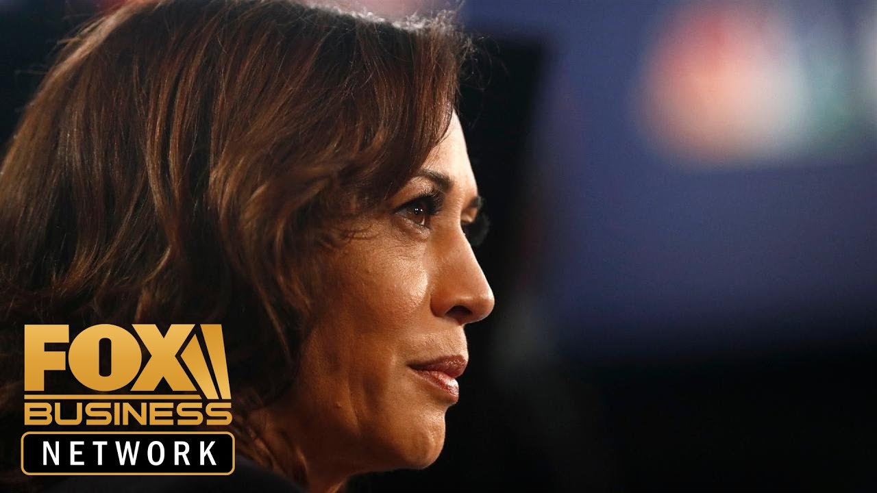 Dems will have to decide how far left they want to go: Varney