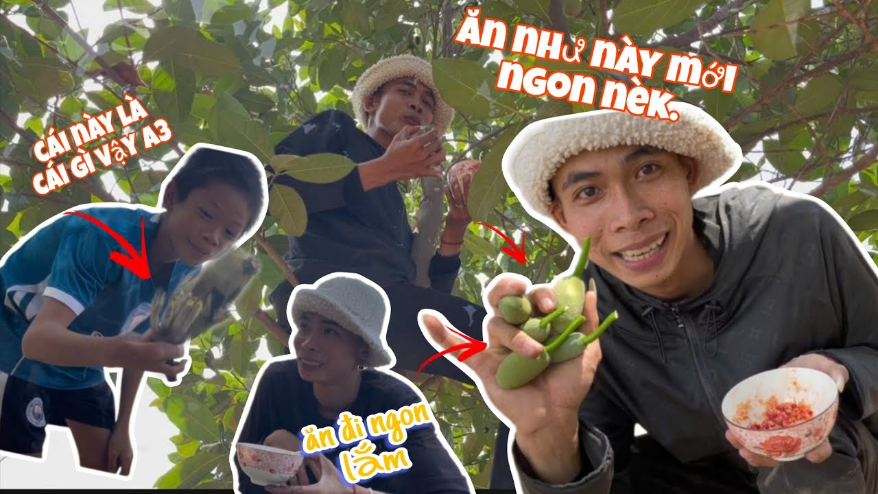 “Đặc sản” trên cây: Ăn kiểu này mới đúng chất dân chơi vườn mít! 