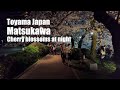 Walk at night in toyama matsukawa one of japans top 100 cherry blossom spots toyama japan