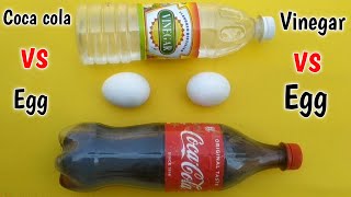 Egg in Coca Cola and Vinegar For 24 Hours Experiment