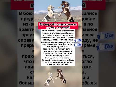 🐎Почему раньше в бою кобыла была предпочтительнее коня #хочуфакты #интересное #животныешляйх #факты