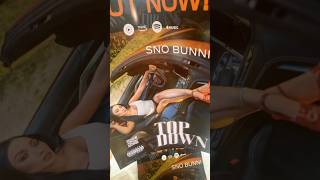 Out Friday topdown new newsong  poster snobunni