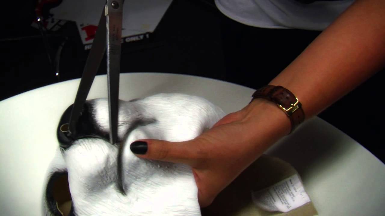 Wir basteln uns eine CRO PANDA Maske - Tutorial