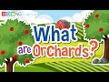 Understanding Orchards and Fruit Management