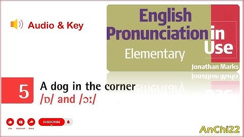 Unit 5 A dog in the corner - English Pronunciation in Use Elementary