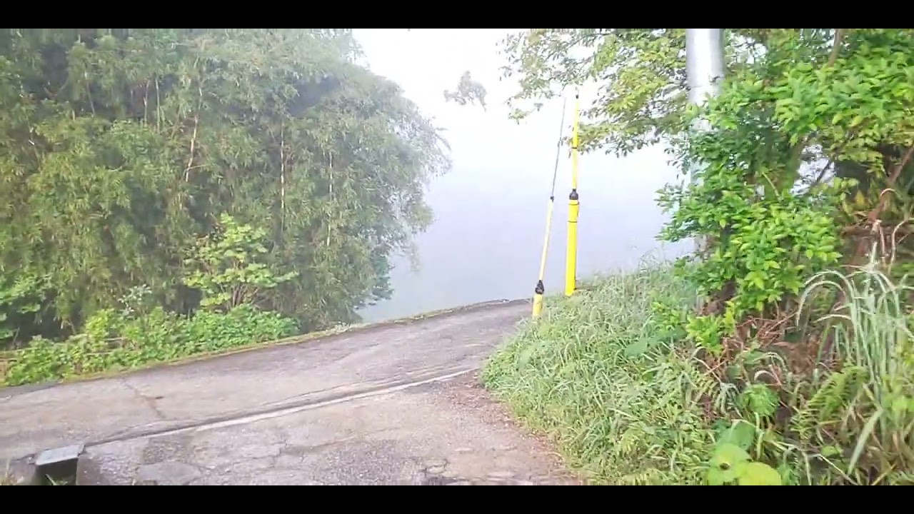 早朝の霧 YouTube