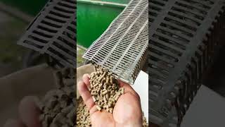 Гранулирование корма