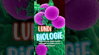 LUNDI BIOLOGIE: L’URÉE #analyse #biologie #infirmiere #soinsinfirmiers