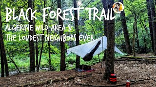 Black Forest Trail: Algerine Wild Area & the Loudest Neighbors EVER!