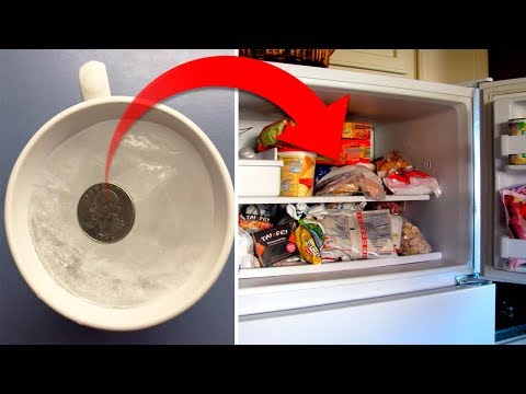 Here’s Why You Should Leave A Coin In The Freezer Before Leaving The House