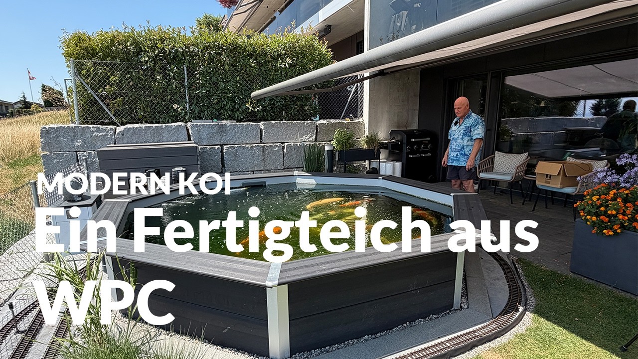 Benis 2 Jahre alter 11.000l Fertigteich | Modern Koi Blog #8211