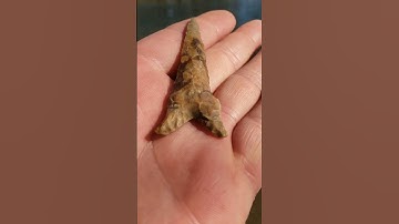💥 best so far for 2023💥Missouri arrowhead hunting #indian #artifacts #arrowhead #shorts #discovery