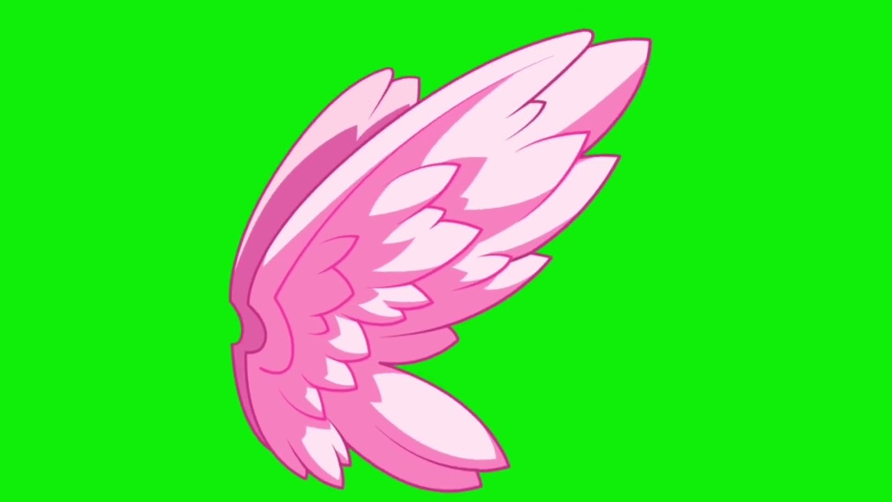 Fairy Wings Green Screen 4k video