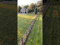 Colorful Tulip Fence Line 🌷