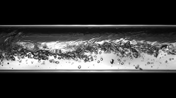 Horizontal Two-Phase R-123 Pseudo-Slug Flow: V008L075.mpg