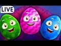 ChuChuTV Surprise Eggs Old MacDonald Had A Farm - Farm Animals, Wild Animals & More for Kids - LIVE