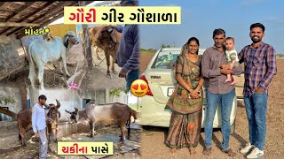 દ્વારકા થી પાછા આવતા મુલાકાત કરી “ગૌરી ગીર ગૌશાળા” ની🤩| રાપર જવા રવાના થઈ ગયા 📍