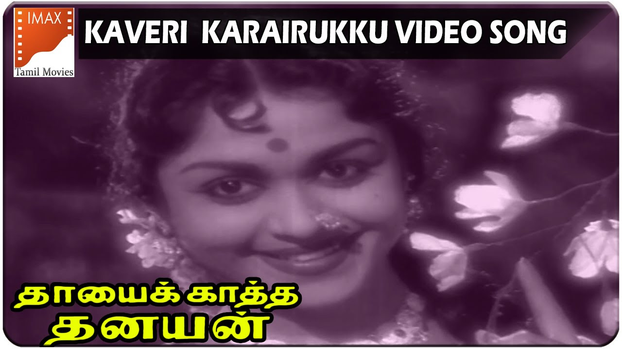 Kaveri Karairukku Video Songs  Thayai Katha Thanayan Movie  MGR B Sarojadevi  South Video