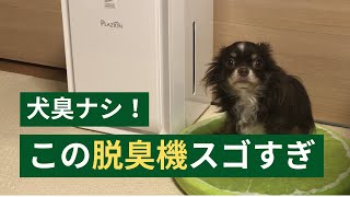 【愛用】この脱臭機ほんとにスゴイ。犬・多頭飼いの匂い対策！富士通ゼネラルプラジオン（PLAZION DAS-303K）byあおはくチャンネル