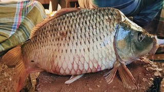 Amazing Fresh Golden Carp Fish Cutting Skills Live In Bd Fish Market Mr Fish