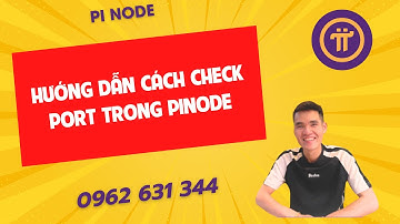 PiNode-Hướng dẫn cách check port trong PiNode-ducanhpinode