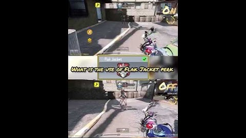 What is the use of Flak Jacket perk in codm |TNPCG|