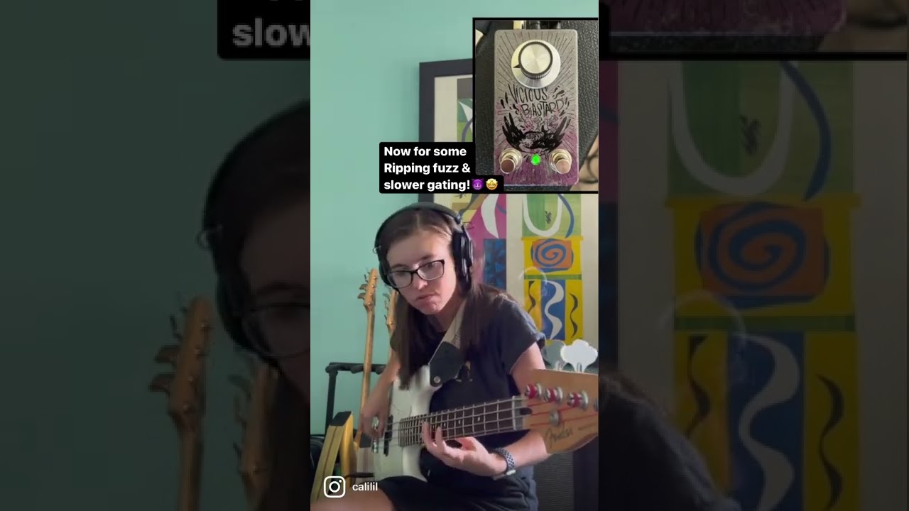Malaise Forever Vicious Bastard Fuzz v1.5 at 18V BASS DEMO