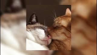 Co2 - Prateek Kuhad | sped up