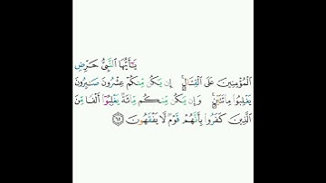 8 - سورة الأنفال ٦٥ - علي الحذيفي