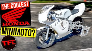 Is This The Most Fun Minimoto Honda Has Ever Made? 2004 Honda NSR50R